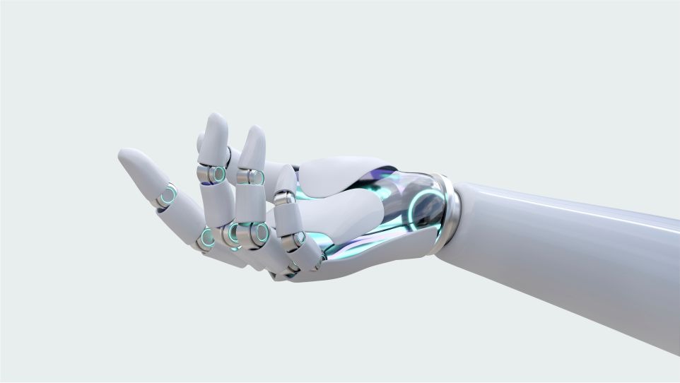 AI Capability Building